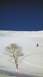 rider Katsumi Sasaki