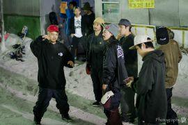 photo 樹